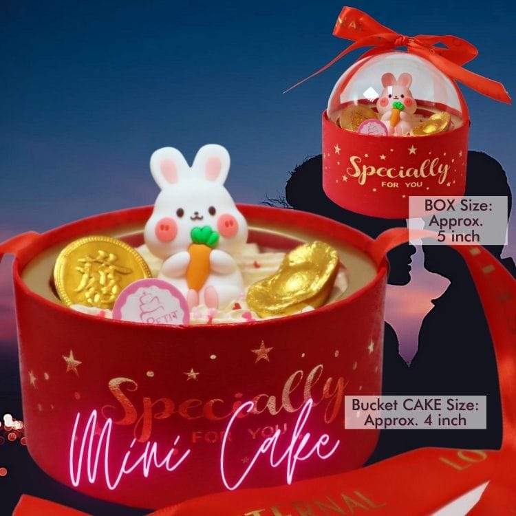 BUNNY Globe Bucket Cake 兔子 抱抱桶蛋糕 🟢 BUNNY Globe Bucket Cake Gift Box 兔子 抱抱桶蛋糕礼盒 - Image 1