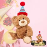 Happy Birthday Party Hat Teddy Bear Plush Soft Toy Present 可爱生日快乐帽泰迪小熊毛绒公仔玩具礼物