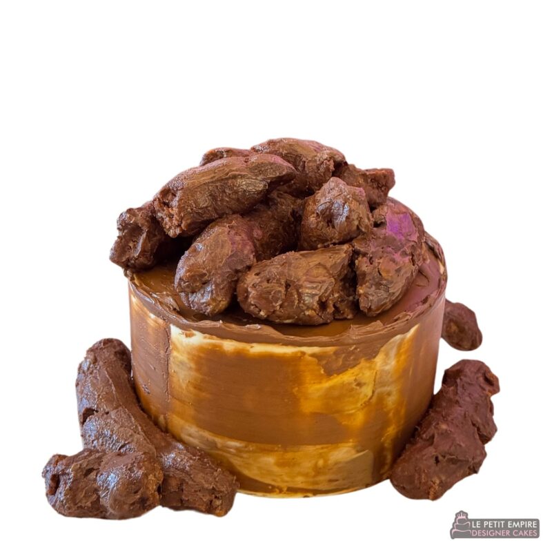 realistic poop cake singapore