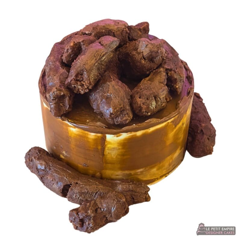 realistic poop cake singapore